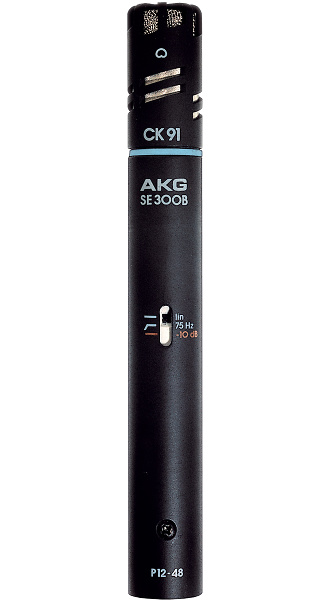 MICROFONO AKG C391B 